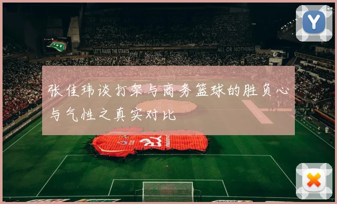 张佳玮谈打架与商务篮球的胜负心与气性之真实对比