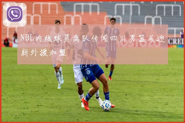 NBL内线球员离队传闻四川男篮或迎新外援加盟