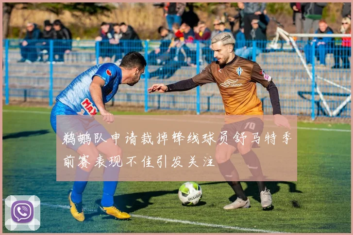 鹈鹕队申请裁掉锋线球员舒马特季前赛表现不佳引发关注