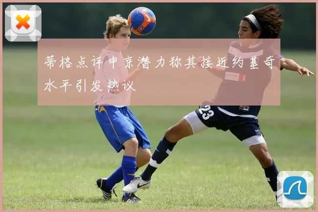 蒂格点评申京潜力称其接近约基奇水平引发热议