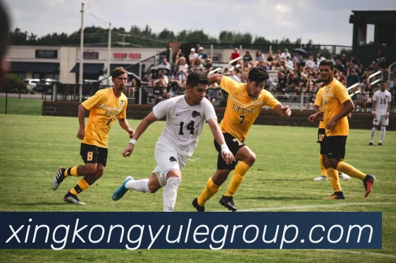 星空娱乐平台生态图