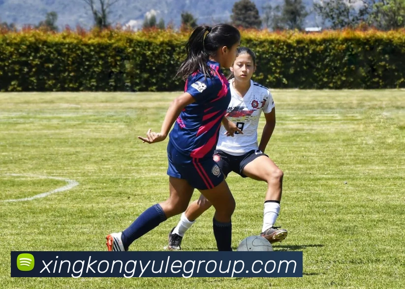 数据防护可视化